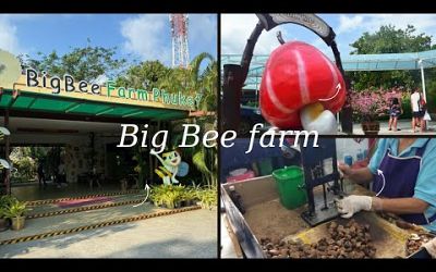 #bigbee farm #thailandtravel #Thecashew nut factory #phuket #thailanddaytrip