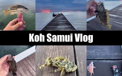 Koh Samui Vlog - Snorkeling - Pig Island - ATV Riding - Ziplining - Fishing - 2024