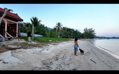 A DAY IN THE LIFE LIVING IN KOH SAMUI, THAILAND 