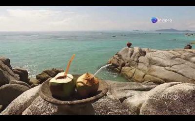 Koh Samui One Day Trip