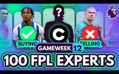 FPL GW12 EXPERT Transfer Trends &amp; Best Captains? 