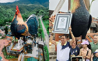 Worth a visit? Resort in Philippines has 'world's largest chicken-shaped building', among other quirky features