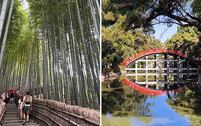 A Singaporean's adventure off the beaten path in Osaka and Kyoto