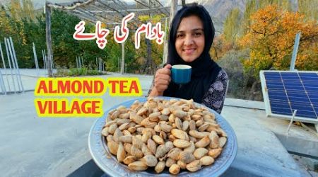 Almond Tea | Daily Lifestyle Vlog | Village | Vlogs New Video