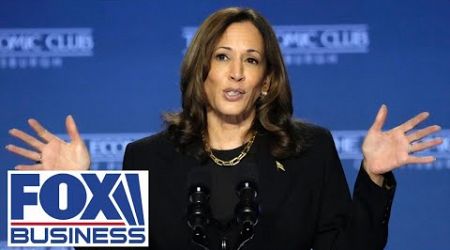 Kamala Harris holds a campaign rally and concert in Madison, WI