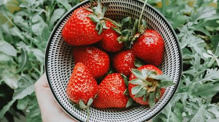 Can OpenAI’s Strawberry program deceive humans?