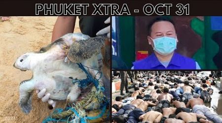 Suspect returns after massacre case expires, Dead turtle tangled in nets off Phuket || Thailand News