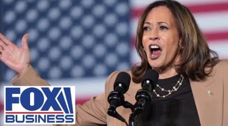 Economist says Kamala Harris has a tough job, Biden economy is a &#39;disaster&#39;