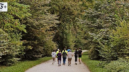 Gemeinsam laufen: Wie Sport als Antidepressivum wirken kann