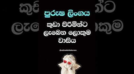 එයාලට විතරක් ලැබෙන ලොකු වාසියක් මේක 