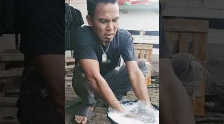 Lagi mandi pagi anakan ayam bangkok shamo Eropa asli saya supaya seger dan sehat kesehatannya bosku