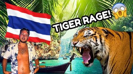 TIGER ATTACKS in THAILAND 