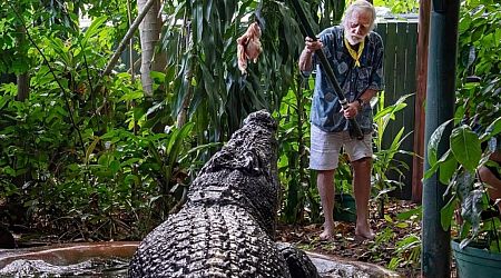 World's largest captive crocodile Cassius dies in Australia