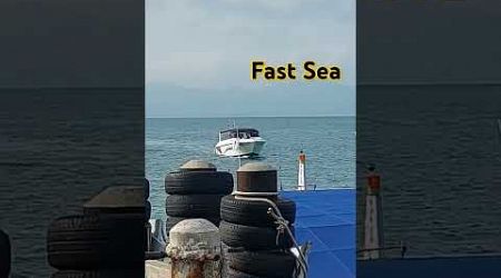 Fast Sea #fastsea #kayakrentals # thailandtravel#samui #phangan #ffastsea