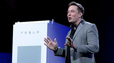 Tesla's energy storage business was the highlight of its blowout earnings, and Elon Musk says it's 'growing like wildfire'