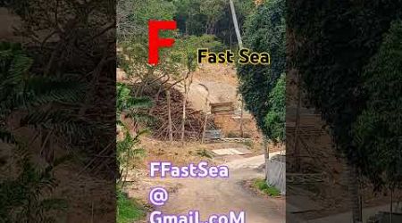 Fast Sea.,#fastsea #kayakrentals #travel #samui #phangan #privatehouseboat #privatboat #thaiisland