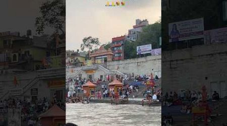 गंगा मैया-हरिद्वार घाट |#trending #ganga #shortvideo #nature #travel #uttarakhand 