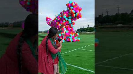 The mascot vibrato assistant placed on thefootball field is popular 