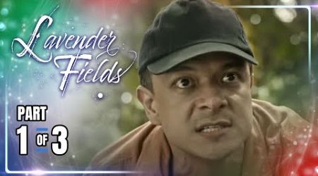 Lavender Fields | Episode 47 (1/3) | November 5, 2024 (w/ English Subs)