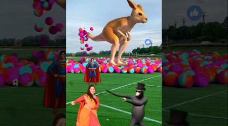 The mascot vibrato assistant placed on thefootball field is popular #shorts #viralshorts​​