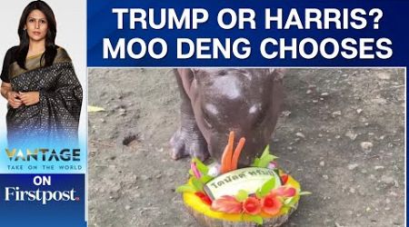 Viral Thai Hippo Moo Deng Predicts an Election Win for Donald Trump | Vantage with Palki Sharma