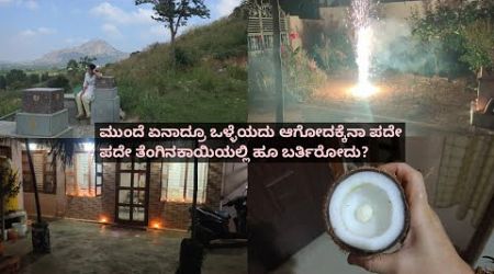 ಈ ಹಬ್ಬದಲ್ಲೂ ತೆಂಗಿನ ಕಾಯಿಯಲ್ಲಿ ಹೂ ಇರೋದು ನೋಡಿ ತುಂಬಾ ಖುಷಿಯಾಯಿತು/my lifestyle in kannada/a day in my life