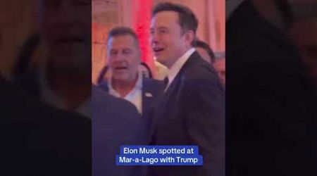 Elon Musk spotted at Mar-a-Lago with Trump on Election Night