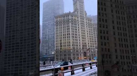 Is Chicago the most beautiful city in the USA?#beautiful #chicago #downtown#shortsvideo#shortsvideo