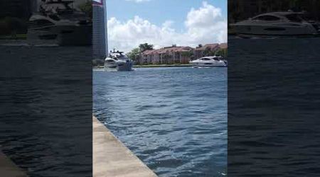 Yachts in South Florida #florida #wealth #yacht #shorts