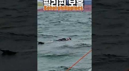 #보홀 프라이빗 보트 ⛵체험 ㅣ 지상낙원이 이런거지~~ 바다를 가슴에 품다!!ㅣ 너무 즐거운 보홀 여행