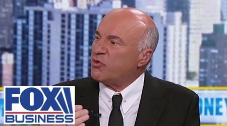 O’Leary sends cheeky message to Kamala Harris: It’s time for a ‘new and exciting job’