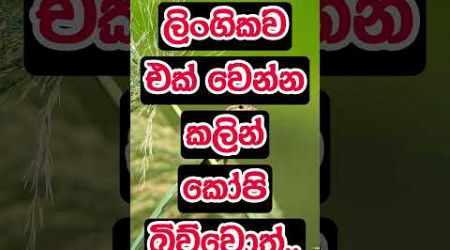 දන්නේ නැති දේවල් කොච්චර නම් තියෙනවද 