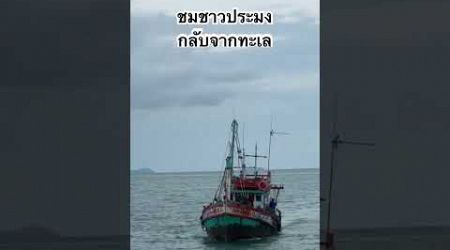 ดูชาวประมงกำลังกลับจากหาสัตว์น้ำในทะเล #เกาะสมุย #fishing #ชาวประมง #หาปูม้า #samui