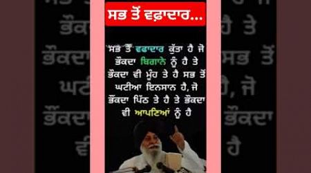 ਸਭ ਤੋਂ ਵਫ਼ਾਦਾਰ। #ਕਵਿਤਾ #shorts #trendingshort #punjabipoetry #quets #love #live #education #viralsho