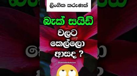 පිරිමියෙක් නම් දැනගෙන ඉන්නම ඔනේ 