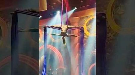 Phuket Nightclub||Armania||Acrobatic Show #phuket #nightclub #show #acrobatics #dance #shorts #yt