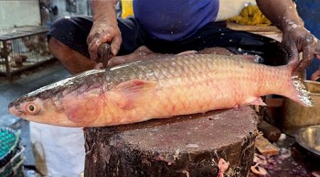 Popular Big Batta Fish Cutting Skills Live In Fish Market | Fish Cutting Skills