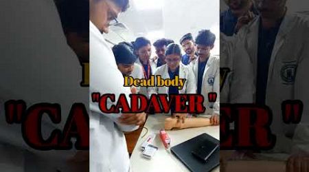 The value of dead bodies in medical Education #aiimsdeoghar #anatomy #shorts #dh #neet