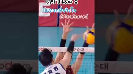 บีแทรกไทย ดังไกลเกาหลี #วิภาวีศรีทอง #shorts #thailand #volleyball #วอลเลย์บอลหญิง