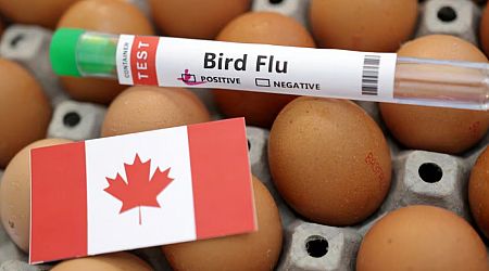 Teen in critical condition with Canada's first presumptive human case of bird flu