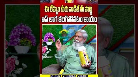 Ayurvedic Medicine : Pandit Srinivas Guruji ఈ లేహ్యం మీరు వాడితే మీ పొట్ట | #e96tv