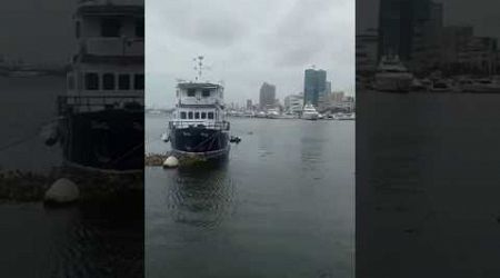 Manila Yacht Club #manilayachtclub #yacht #yachts #manila #shorts #shortvideo #millionviews