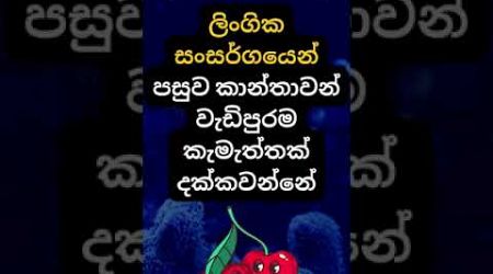 හම්බෝ ඒ දේ නම් හිතාගන්නවත් බෑ 