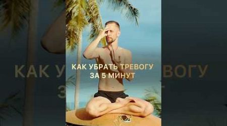 Как убрать тревогу за 5 минут? #samui #тревожность #тревожныемысли #дыхание #йогa #упражнение