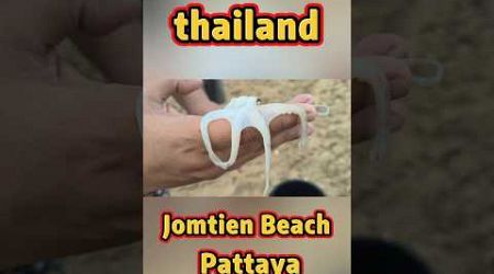 Squid line Jomtien Beach Pattaya Thailand #NuiOnTour #humor