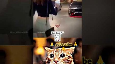 #automobile #edit #cat #memes #funny #smartphone #alightmotion #popular #mrbombastic #trending