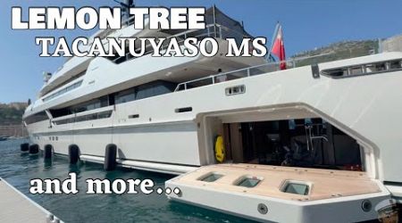 Docking of Italian made LEMON TREE Superyacht by SANLORENZO with TACANUYASO MS and more..