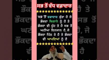 ਸਭ ਤੋਂ ਵੱਧ ਵਫ਼ਾਦਾਰ। #ਕਵਿਤਾ #short #trendingshort #punjabipoetry #quets #love #live #education #viral