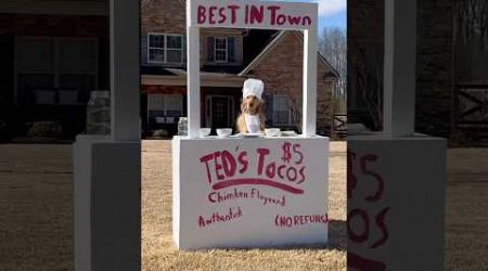 My dog started a business!