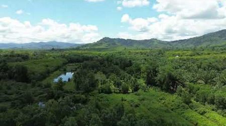 9 Rai Land with Additional 5 Rai with Mountain Views in Thaimueang, Phangnga